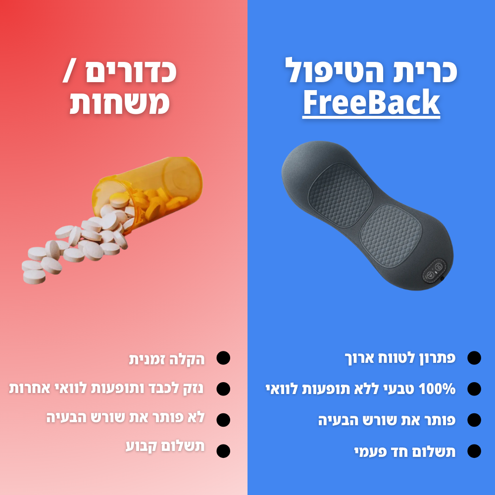 FreeBack - כרית טיפולית לגב