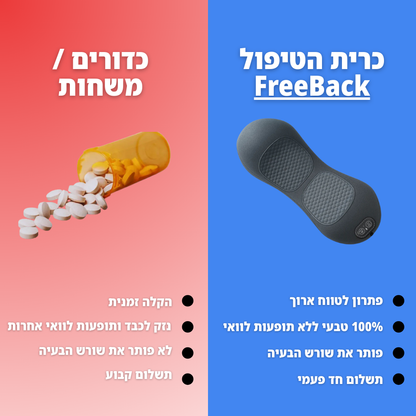 FreeBack - כרית טיפולית לגב