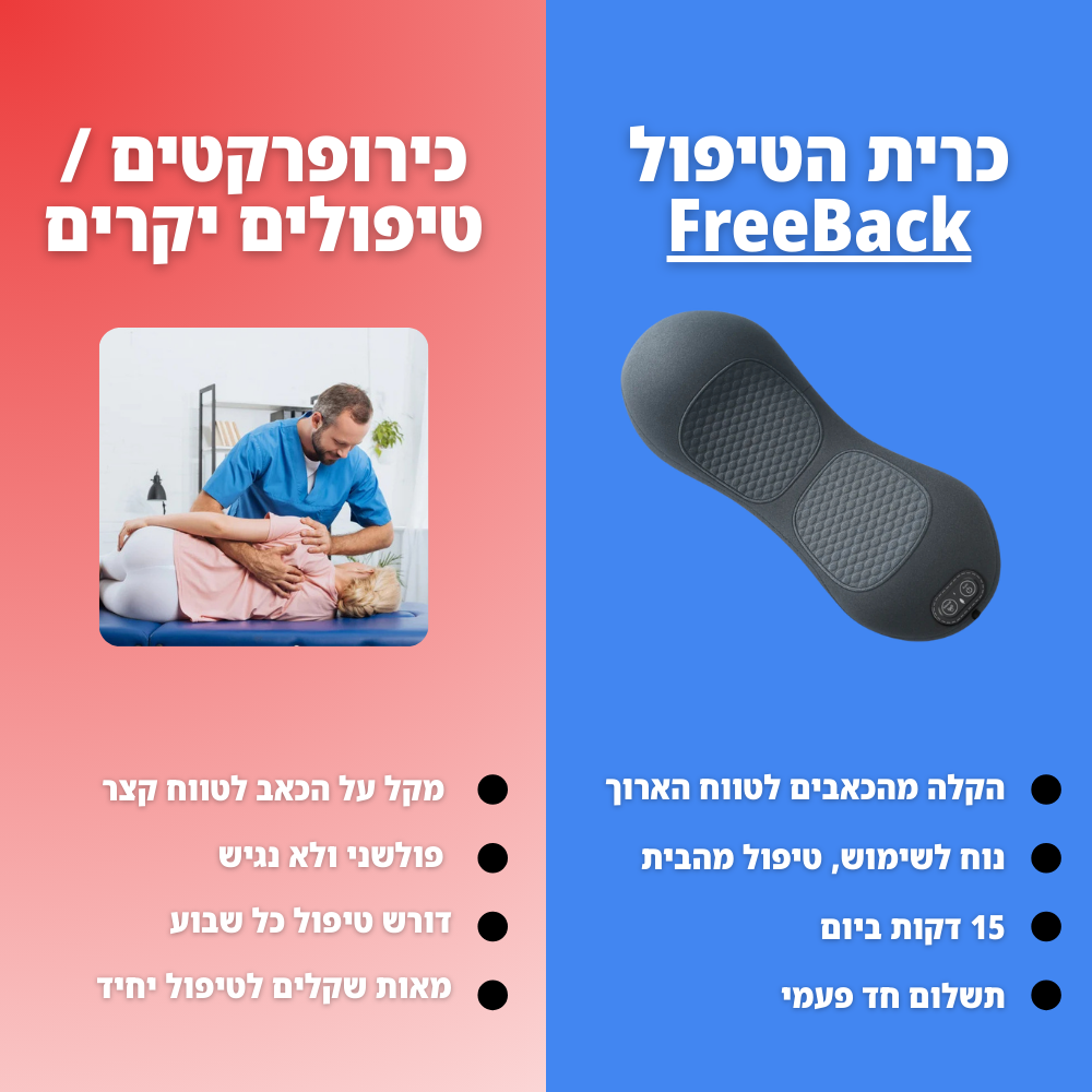 FreeBack - כרית טיפולית לגב