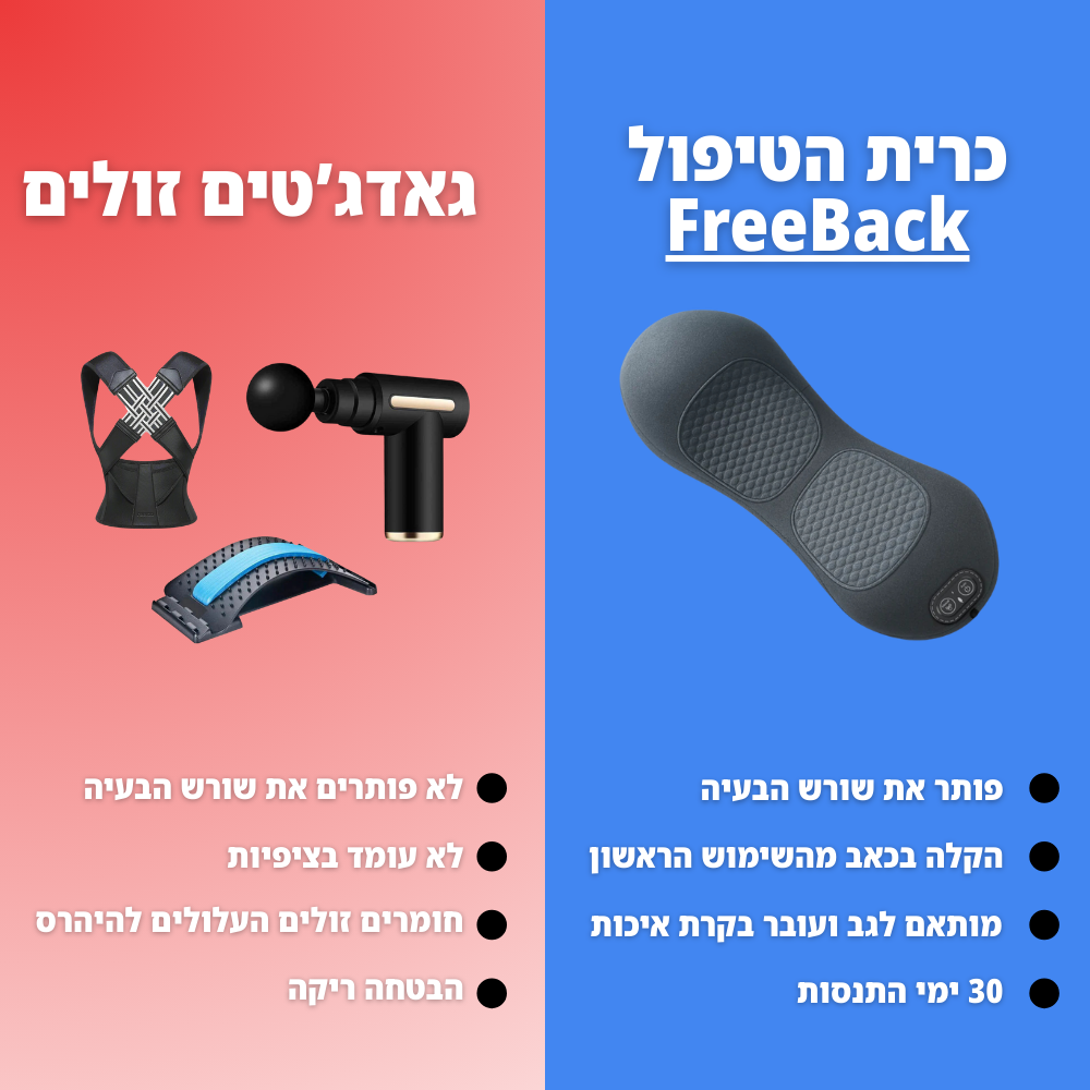FreeBack - כרית טיפולית לגב